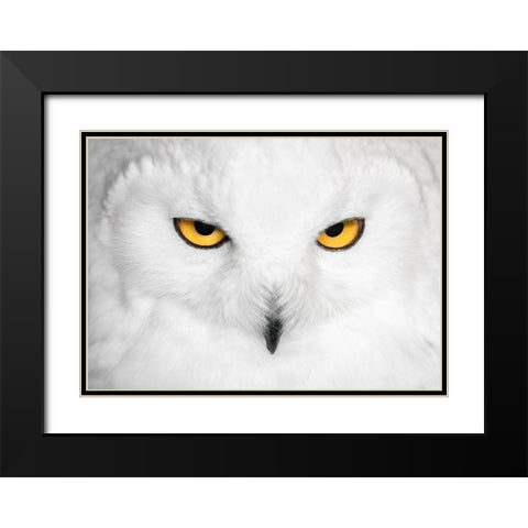 H Y P N O T I C S Black Modern Wood Framed Art Print with Double Matting by Fegari