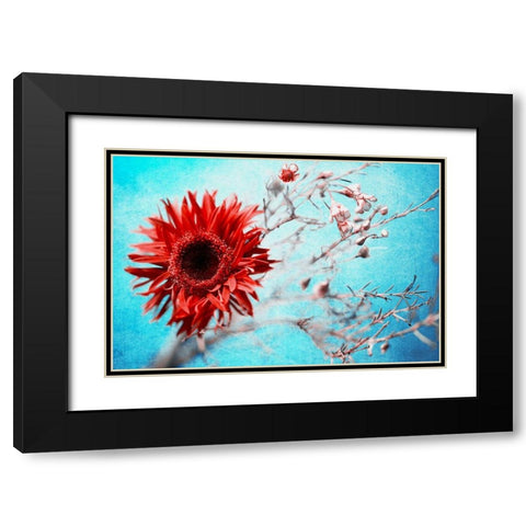 Marigold Black Modern Wood Framed Art Print with Double Matting by Kreiten, Mike