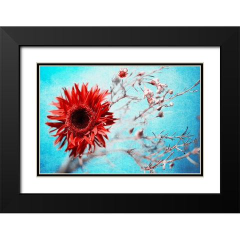 Marigold Black Modern Wood Framed Art Print with Double Matting by Kreiten, Mike