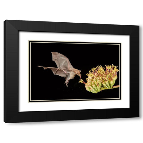 Slurp A Go Black Modern Wood Framed Art Print with Double Matting by Hudson, Peter