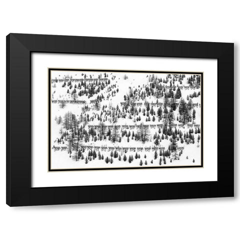 Trees And Fences Black Modern Wood Framed Art Print with Double Matting by Hermann, Uschi