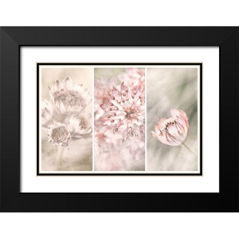 Untitled Black Modern Wood Framed Art Print with Double Matting by Davidsson, Gustav