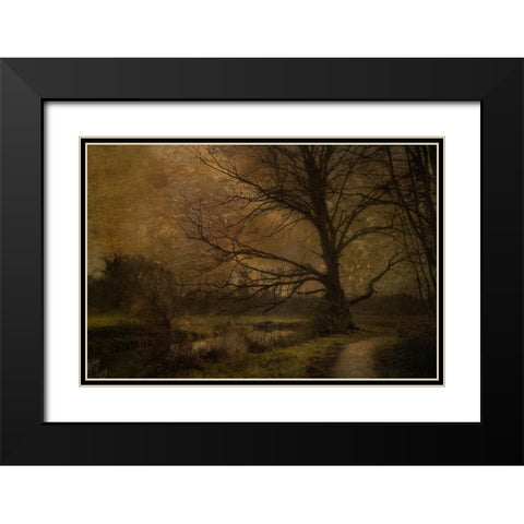 Old Tree Black Modern Wood Framed Art Print with Double Matting by Talen, Nel