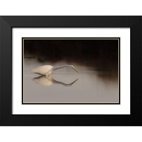 Search Mode Black Modern Wood Framed Art Print with Double Matting by Forner Rodriguez, Joaquin