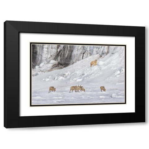 A Polar Bear Looking Down At Four Reindeer Black Modern Wood Framed Art Print with Double Matting by And Wei, Siyu