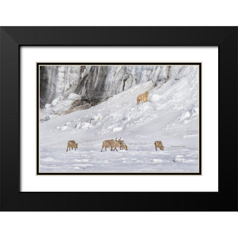 A Polar Bear Looking Down At Four Reindeer Black Modern Wood Framed Art Print with Double Matting by And Wei, Siyu
