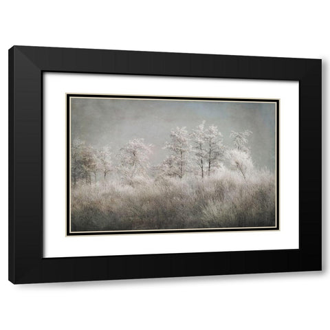 Cold Morning Black Modern Wood Framed Art Print with Double Matting by Talen, Nel
