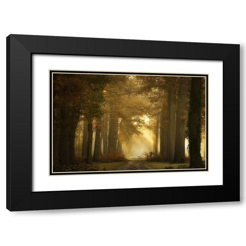 Forever Forest Black Modern Wood Framed Art Print with Double Matting by Borggreve, Ellen