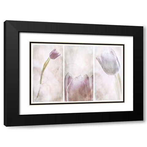 Untitled Black Modern Wood Framed Art Print with Double Matting by Davidsson, Gustav