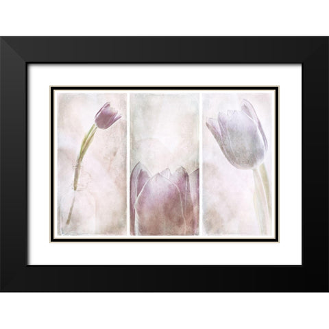Untitled Black Modern Wood Framed Art Print with Double Matting by Davidsson, Gustav