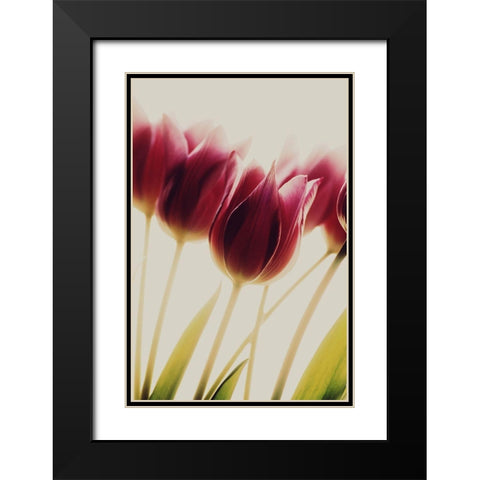 Tulips Black Modern Wood Framed Art Print with Double Matting by Philippin-Lipscomb, Rosalinde