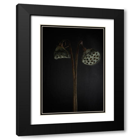 Lotus Heads - Dried Black Modern Wood Framed Art Print with Double Matting by Gronkjar, Lotte