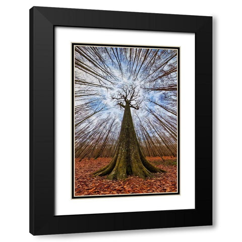 Four Centuries Tall Black Modern Wood Framed Art Print with Double Matting by Casanova, Francois