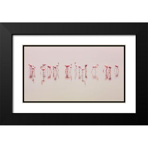 Water Ballet Black Modern Wood Framed Art Print with Double Matting by Thabet, Ahmed