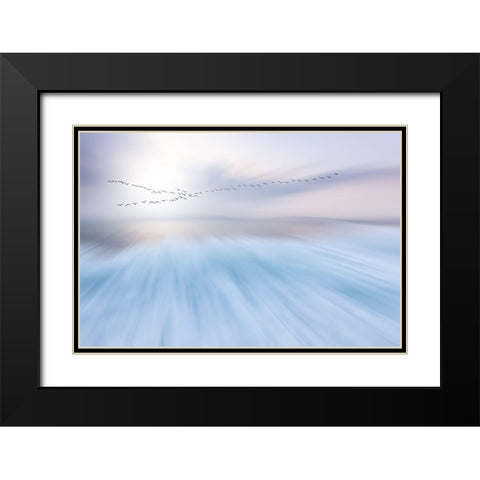 Fly Over Black Modern Wood Framed Art Print with Double Matting by Hermann, Uschi