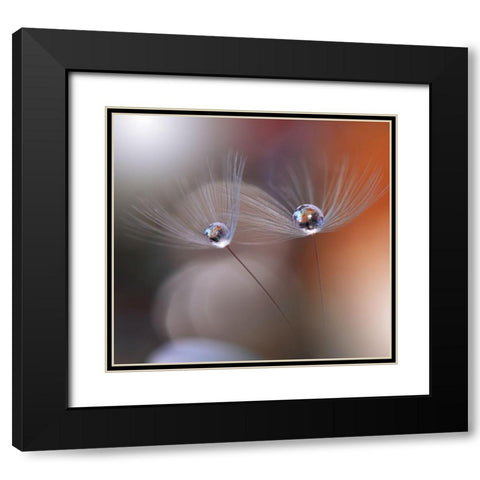 Immortal Love.. Black Modern Wood Framed Art Print with Double Matting by Nan, Juliana