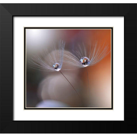 Immortal Love.. Black Modern Wood Framed Art Print with Double Matting by Nan, Juliana