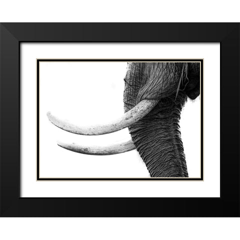 White Gold Black Modern Wood Framed Art Print with Double Matting by Marx, Jaco