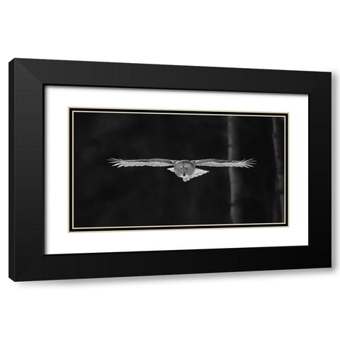 Out Of The Woods Black Modern Wood Framed Art Print with Double Matting by Zuo, Jun