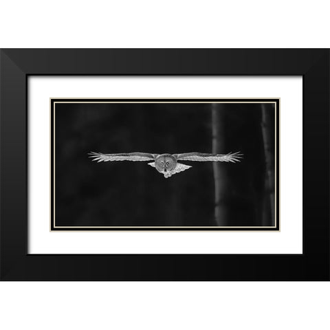 Out Of The Woods Black Modern Wood Framed Art Print with Double Matting by Zuo, Jun