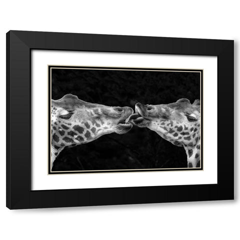 French Kiss Black Modern Wood Framed Art Print with Double Matting by Romaggi, Michel