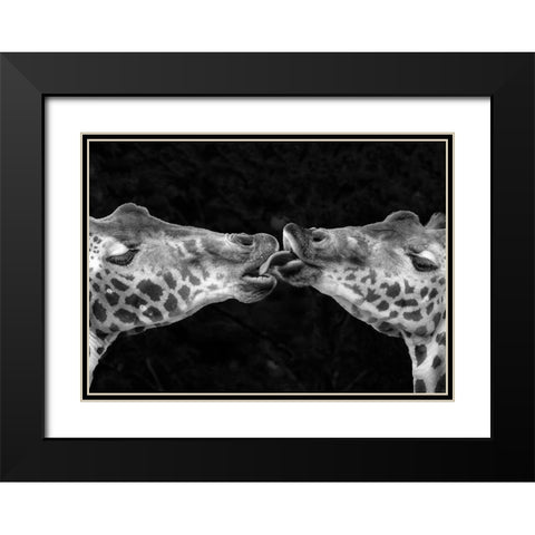French Kiss Black Modern Wood Framed Art Print with Double Matting by Romaggi, Michel