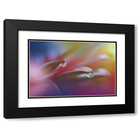 Sound Of Colors... Black Modern Wood Framed Art Print with Double Matting by Nan, Juliana