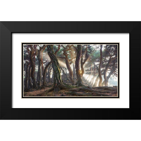 Sacred Pine Trees Black Modern Wood Framed Art Print with Double Matting by Ryu, Jaeyoun