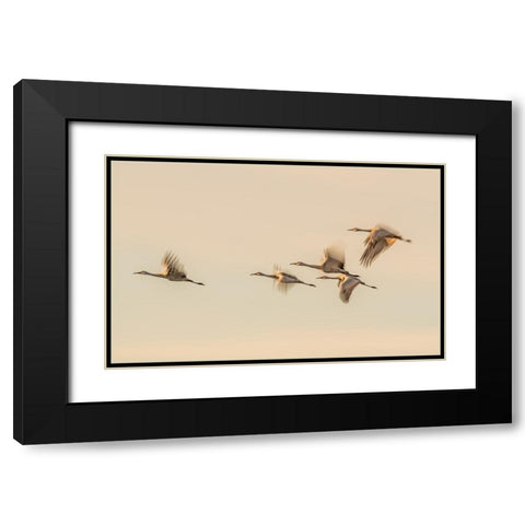 Untitled Black Modern Wood Framed Art Print with Double Matting by Wang, Qingsong