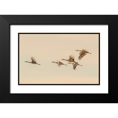 Untitled Black Modern Wood Framed Art Print with Double Matting by Wang, Qingsong