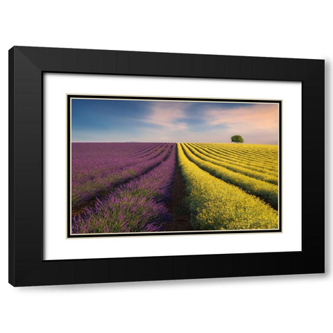 Violyellow Black Modern Wood Framed Art Print with Double Matting by Komovec, Ales