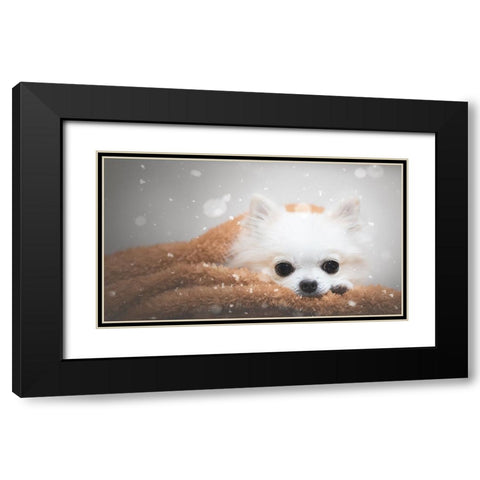 One Day In Winter Black Modern Wood Framed Art Print with Double Matting by Lienjp