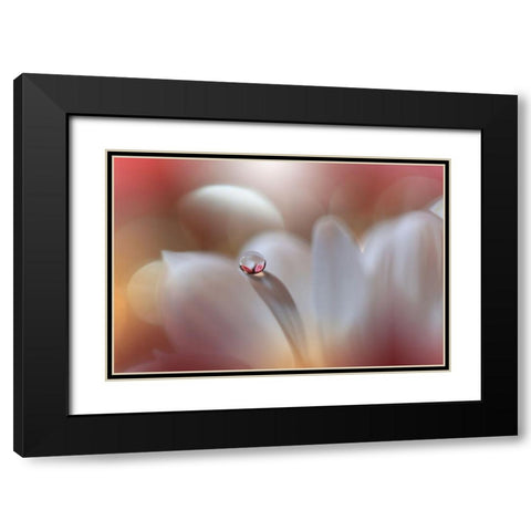 Enigma.. Black Modern Wood Framed Art Print with Double Matting by Nan, Juliana