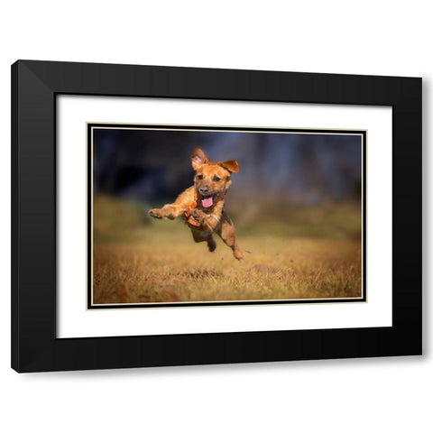 Happy Scooby Black Modern Wood Framed Art Print with Double Matting by Gregor
