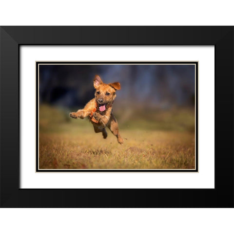 Happy Scooby Black Modern Wood Framed Art Print with Double Matting by Gregor