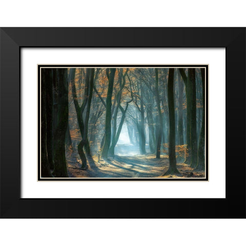 Cold Light Black Modern Wood Framed Art Print with Double Matting by Borggreve, Ellen