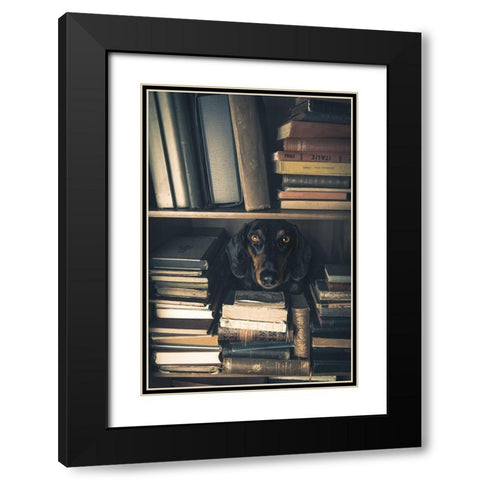 Der Kleine Bibliothekar - Little Librarian Black Modern Wood Framed Art Print with Double Matting by Willers, Heike