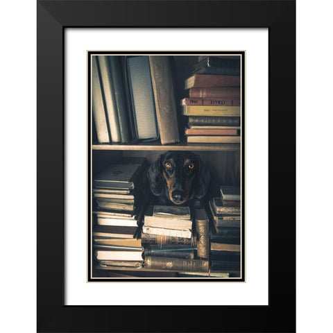 Der Kleine Bibliothekar - Little Librarian Black Modern Wood Framed Art Print with Double Matting by Willers, Heike