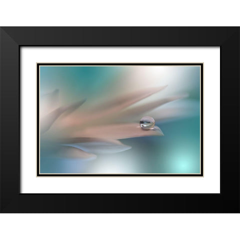White Symphony.. Black Modern Wood Framed Art Print with Double Matting by Nan, Juliana