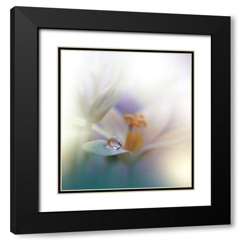 All Of Me... Black Modern Wood Framed Art Print with Double Matting by Nan, Juliana