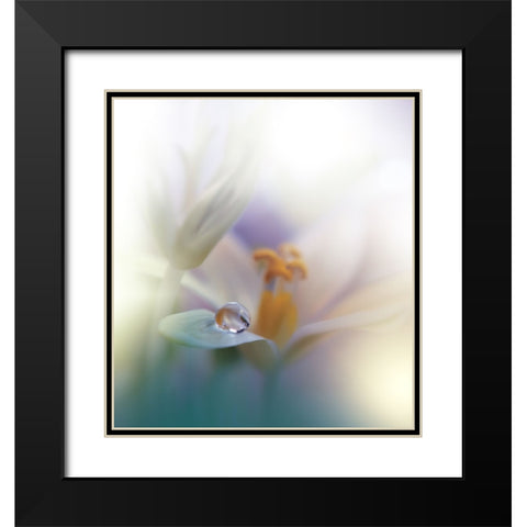 All Of Me... Black Modern Wood Framed Art Print with Double Matting by Nan, Juliana