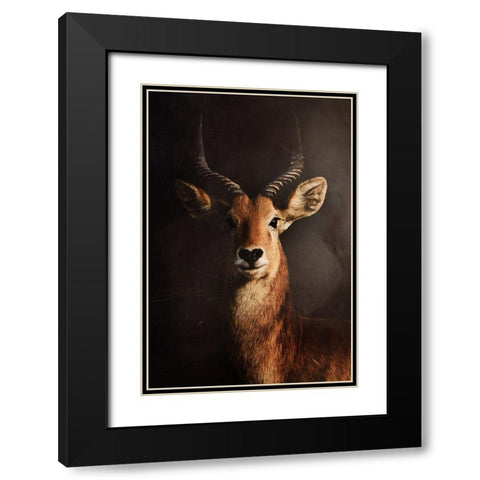 Untitled Black Modern Wood Framed Art Print with Double Matting by Grambone, Antonio