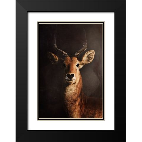 Untitled Black Modern Wood Framed Art Print with Double Matting by Grambone, Antonio