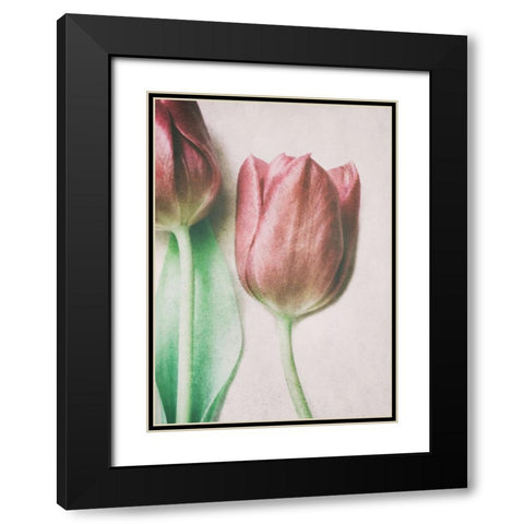 The Spring Lovers Black Modern Wood Framed Art Print with Double Matting by Devos, Delphine