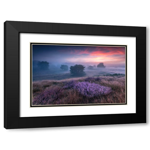 Qthe Colors Of Heatherq Black Modern Wood Framed Art Print with Double Matting by Pachula, Adam