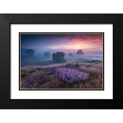 Qthe Colors Of Heatherq Black Modern Wood Framed Art Print with Double Matting by Pachula, Adam