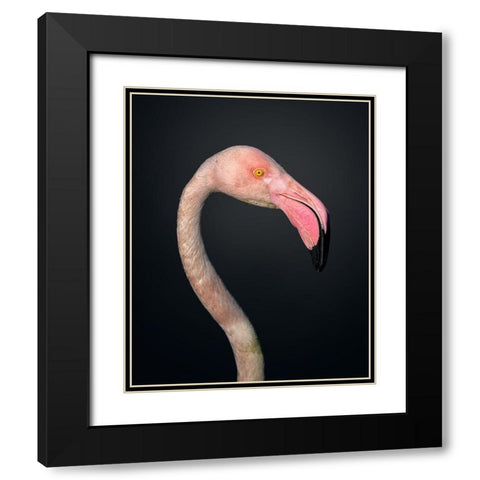 F L A M B O Y A N C E Black Modern Wood Framed Art Print with Double Matting by Fegari