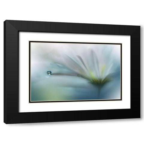 Fields Of Hope.. Black Modern Wood Framed Art Print with Double Matting by Nan, Juliana