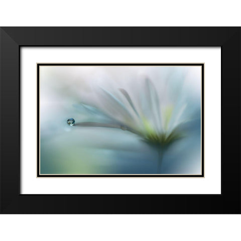Fields Of Hope.. Black Modern Wood Framed Art Print with Double Matting by Nan, Juliana