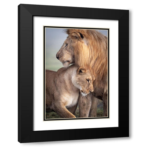 Wild Love Black Modern Wood Framed Art Print with Double Matting by Khataw, Ali
